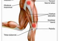 Introduction To The Iliotibial Band Syndrome 2
